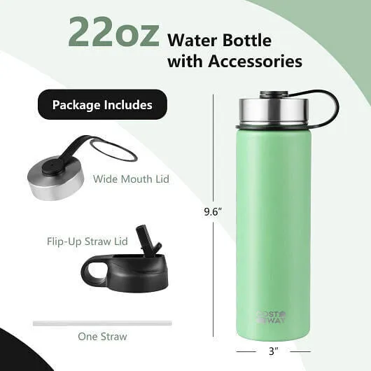 22 Oz Double-walled Insulated Stainless Steel Water Bottle with 2 Lids and Straw
