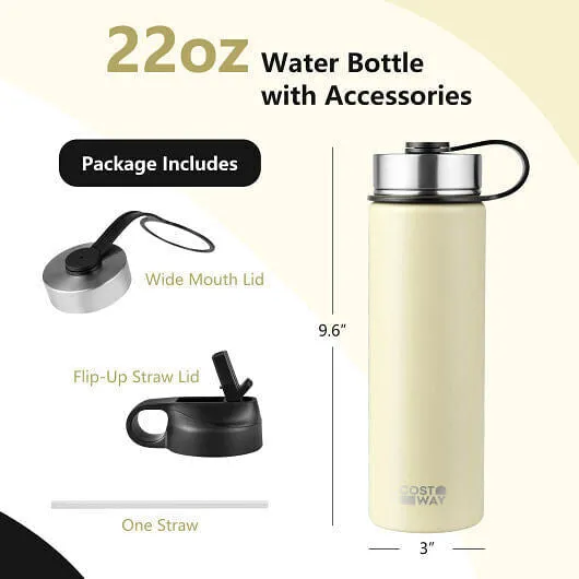 22 Oz Double-walled Insulated Stainless Steel Water Bottle with 2 Lids and Straw