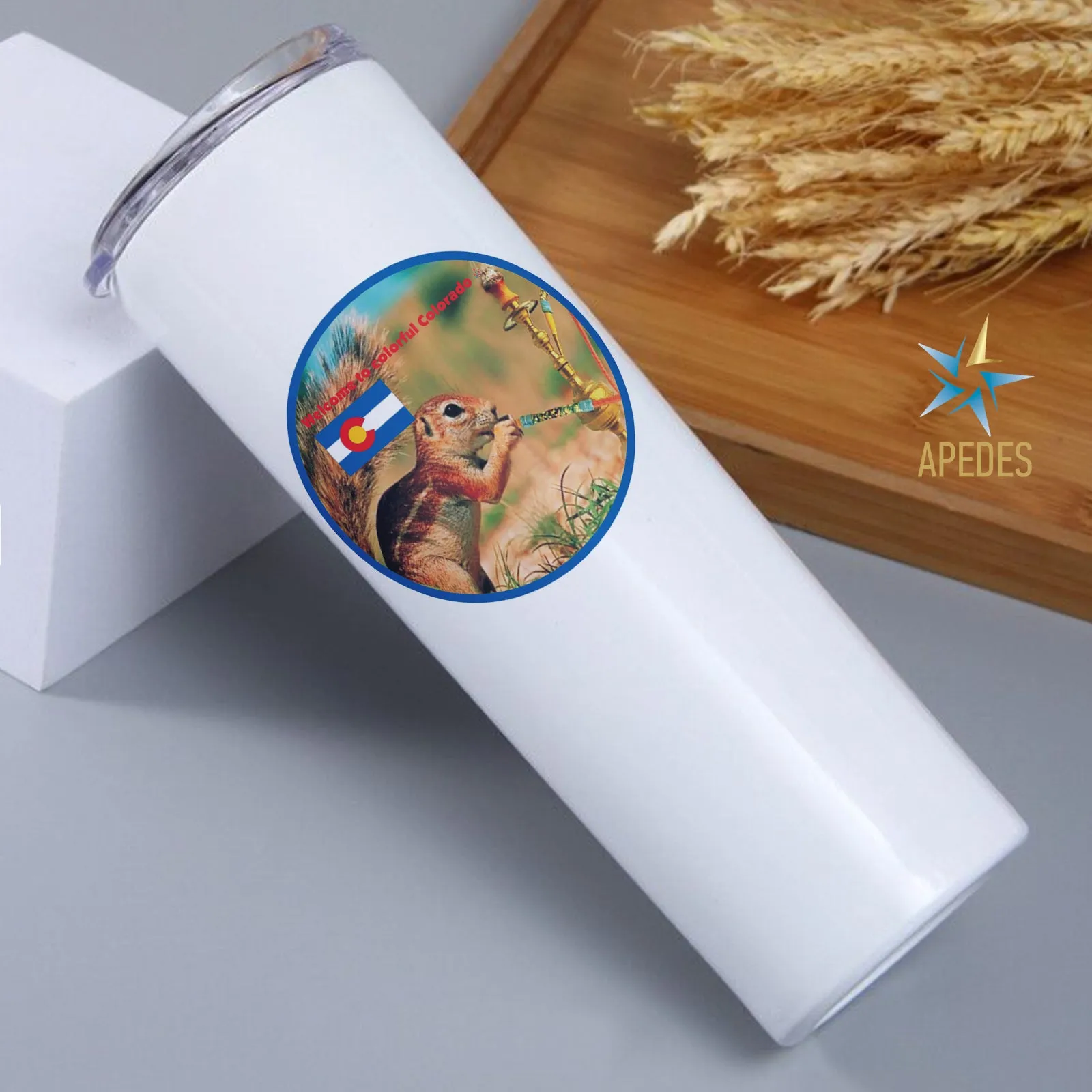 Colorado Resident Stainless Steel Skinny Tumbler 20 OZ