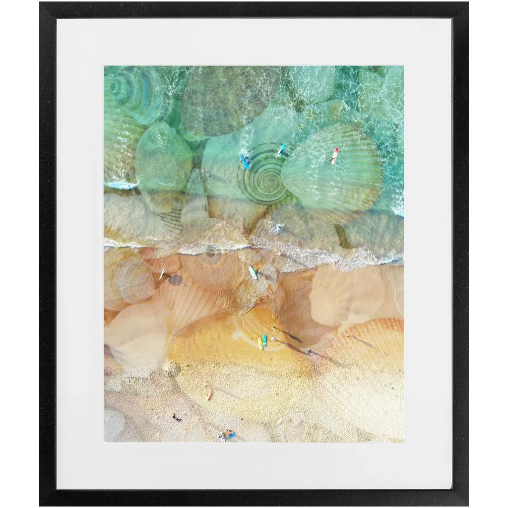 She Sells Seashells Framed Print